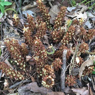 56899609_10157289732129343_7780403556728700928_o